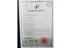 Patent