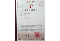 Patent