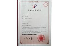 Patent